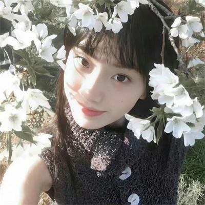 别后苏锦绽华光